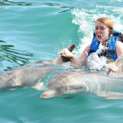 Discover an Unforgettable Adventure Dolphin Discovery Saint Kitts