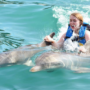 Exploring the Wonders of Dolphin Discovery St. Kitts